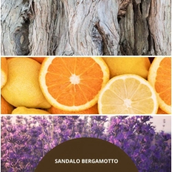 MILLEFIORI MILANO Pałeczki zapachowe SANDALO BERGAMOTTO 100ml